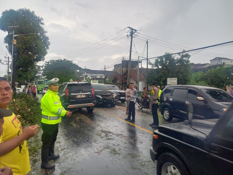 BREAKING: Hujan Deras + Angin Kencang, Pohon Mahoni Tumbang Timpa Pajero di Gadingrejo!
