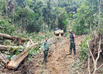 Dishut Lampung Klarifikasi Dugaan Penebangan di Pesisir Barat