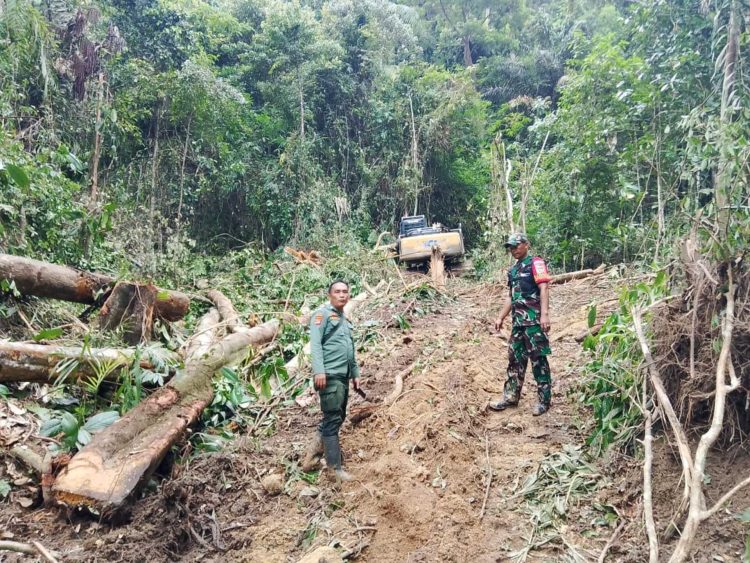 Dishut Lampung Klarifikasi Dugaan Penebangan di Pesisir Barat