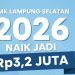 Lampung Selatan Terapkan UMK 2026, Upah Naik 4,6 Persen