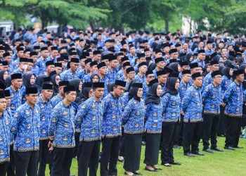 Pengangkatan PPPK Paruh Waktu Perkuat Layanan Pesawaran