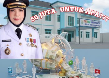 Anggaran Puluhan Miliar Digelontorkan Tapi Warga Belum Dengar Sosialisasi P2KM dan Pusling, Publik Tunggu Klarifikasi Dinkes dan Puskes
