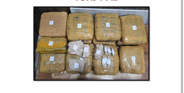 Gerebek Rumah di Kalianda, Polda Lampung Tangkap Pengedar dan Sita 13 Kg Ganja