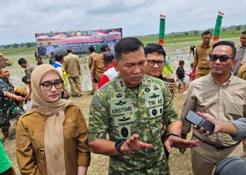 Tanam Padi Serentak Jadi Strategi Lampung Timur Jaga Stabilitas Pangan Nasional