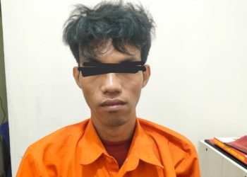 Pura-Pura Mau Beli Motor, Residivis Ini Kembali Masuk Sel Polisi