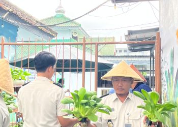 Panen Hortikultura Jadi Bukti Keberhasilan Pembinaan WBP di Lapas Kalianda