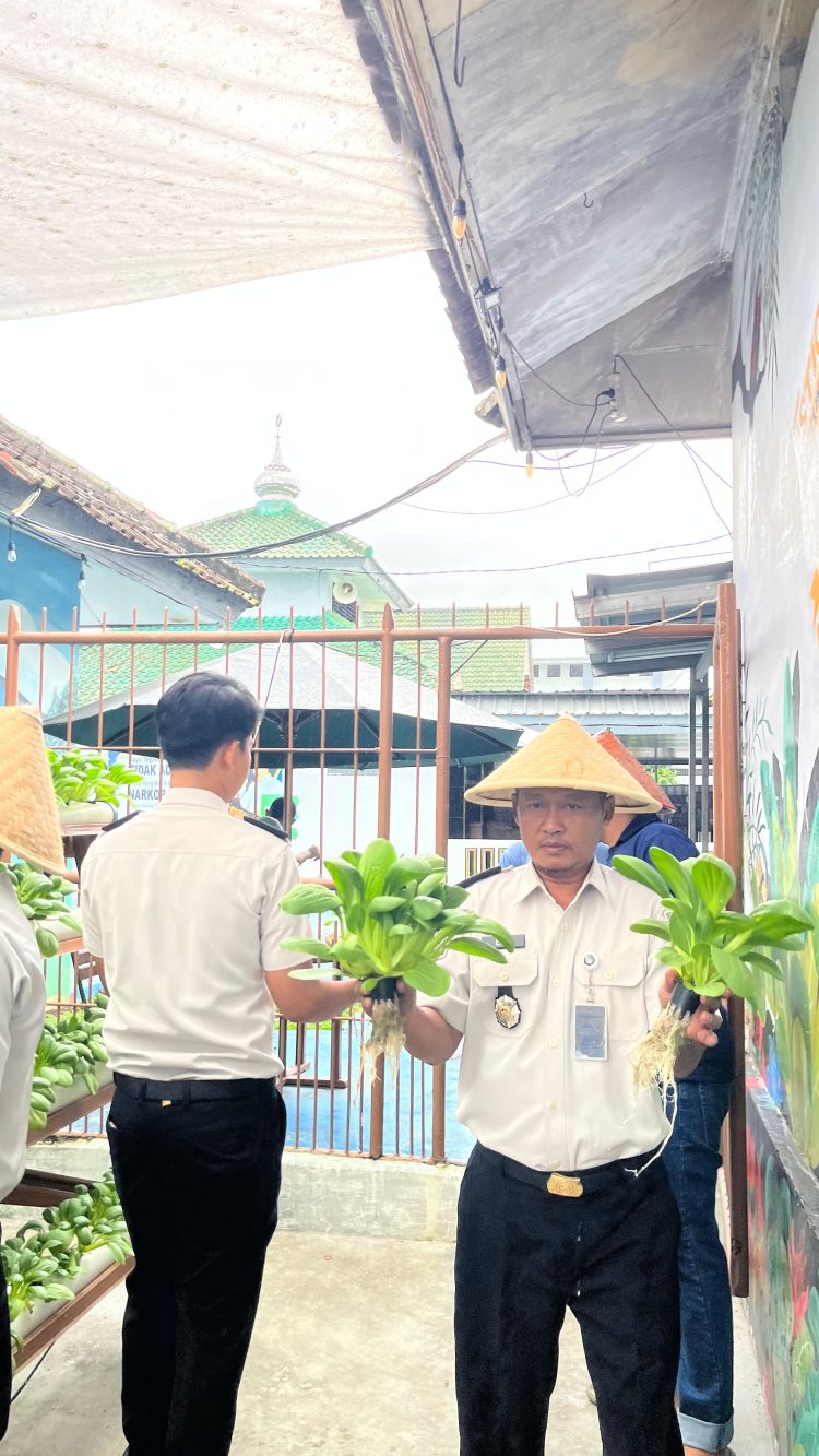 Panen Hortikultura Jadi Bukti Keberhasilan Pembinaan WBP di Lapas Kalianda