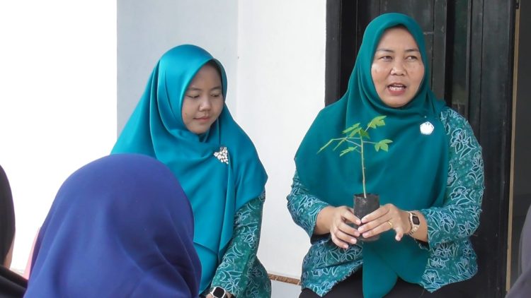 PKK Mekar Jaya Gerakkan Ekonomi Keluarga Lewat Budidaya Pepaya California