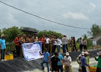 Sinergi SBI, Bappenas, dan BRI Dorong Dipasena Menuju Sentra Udang Nasional