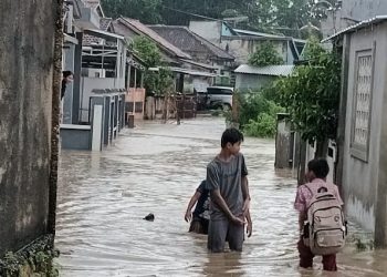 Bupati Pringsewu Sidak Lokasi Banjir, Tekankan Perbaikan Menyeluruh