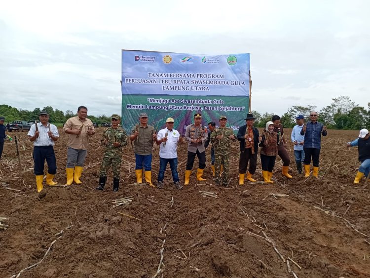 Tebu Rakyat Digenjot, Lampung Utara Catat Luasan Terbesar