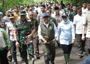 Solusi Konflik Gajah, Bupati Ela Dukung Pagar 138 Km dan Program Desa