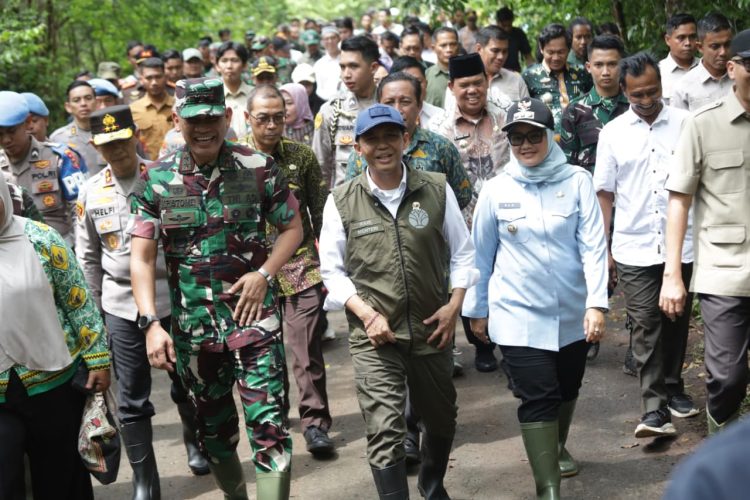 Solusi Konflik Gajah, Bupati Ela Dukung Pagar 138 Km dan Program Desa