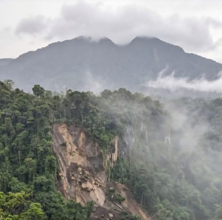 Kondisi Hutan Rajabasa Mengkhawatirkan, LSM Desak Evaluasi Total