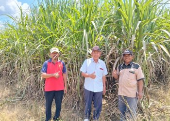 Produksi Tebu Meningkat, Petani Harap Fasilitas Alsintan Segera Disalurkan