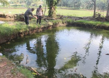Diduga Terpeleset Saat Bermain, Bocah Pringsewu Tewas di Kolam 1,5 Meter