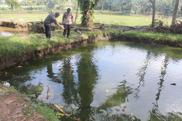 Diduga Terpeleset Saat Bermain, Bocah Pringsewu Tewas di Kolam 1,5 Meter