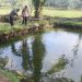 Diduga Terpeleset Saat Bermain, Bocah Pringsewu Tewas di Kolam 1,5 Meter