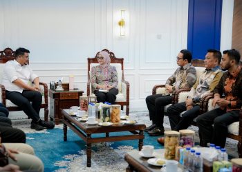 Wagub Jihan Tekankan Gotong Royong Saat Serahkan Bantuan ke Tapanuli Selatan