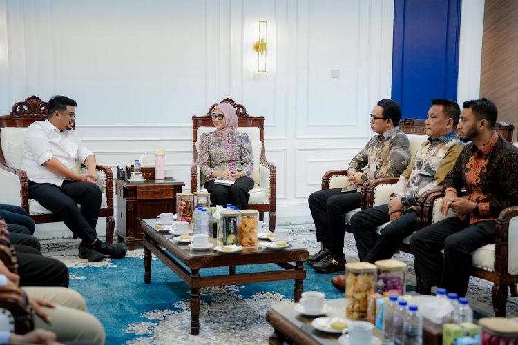 Wagub Jihan Tekankan Gotong Royong Saat Serahkan Bantuan ke Tapanuli Selatan