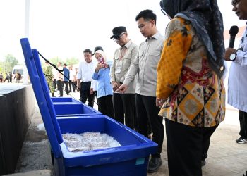 KNMP Lampung Timur Diharapkan Tingkatkan Kesejahteraan Nelayan
