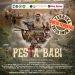 Bedah Film Pesta Babi Pindah Lokasi, Panitia: Ruang Dialog Kritis Tidak Boleh Mati