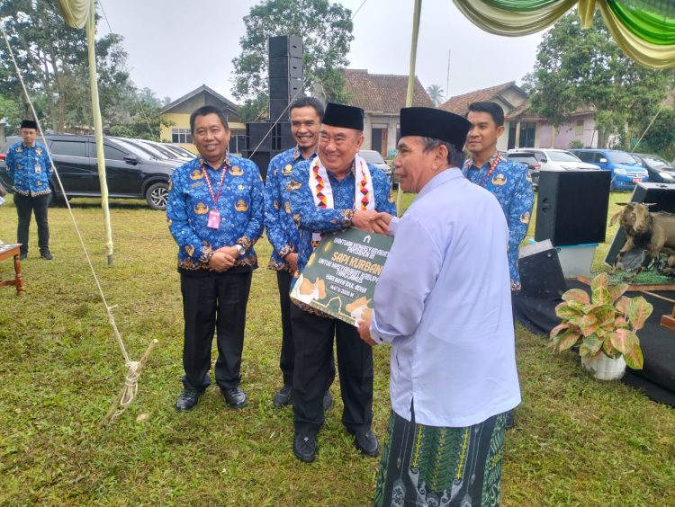 Peternak Tanggamus Raup Untung, 2.500 Kambing Sudah Terjual ke Luar Daerah