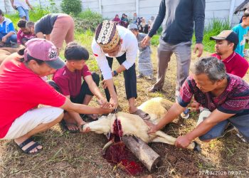 Iduladha 1447 H, PPTQ MSI Lampung Tebar Kepedulian Sosial di Kemiling dan Natar