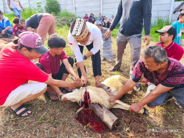 Iduladha 1447 H, PPTQ MSI Lampung Tebar Kepedulian Sosial di Kemiling dan Natar