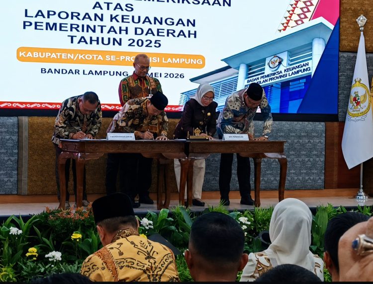 Raih WTP Lagi, Lampung Selatan Tunjukkan Konsistensi dalam Pengelolaan APBD