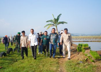 Corporate Farming Resmi Dimulai di Pringsewu, Petani Diajak Lebih Kolaboratif