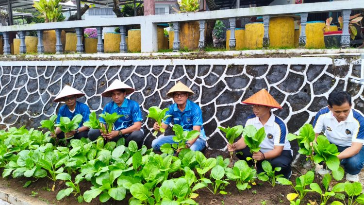 Program Kemandirian Berbuah Hasil, Panen Sawi di Lapas Kalianda Dukung Kebutuhan Dapur