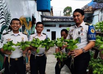 Lapas Kalianda Optimalkan Lahan Pertanian, Warga Binaan Ikut Panen Pakcoy