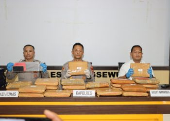 Bawa 24 Kilogram Ganja ke Lampung, Pria Asal Sumatera Utara Ditangkap Polisi