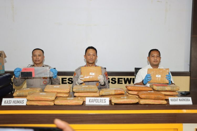 Bawa 24 Kilogram Ganja ke Lampung, Pria Asal Sumatera Utara Ditangkap Polisi