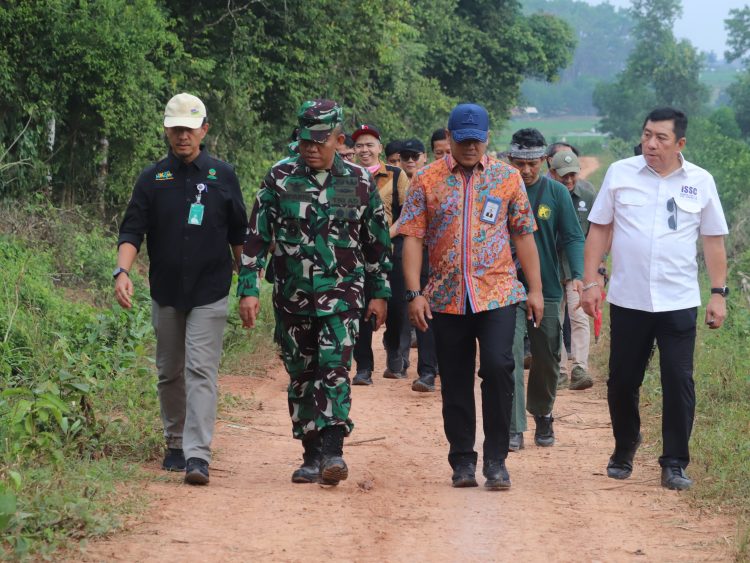 TNWK Berbenah, Marsda Dedi Saprudin Pastikan Konservasi Gajah Sumatra dan Infrastruktur Berjalan Maksimal