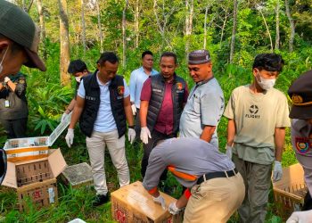 Sebagian Dilindungi, 977 Ekor Burung Tanpa Dokumen Gagal Diselundupkan ke Pulau Jawa