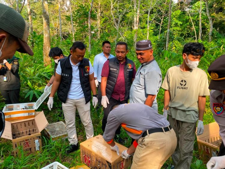 Sebagian Dilindungi, 977 Ekor Burung Tanpa Dokumen Gagal Diselundupkan ke Pulau Jawa