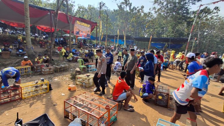 Wakapolres Pringsewu Buka Lomba Merpati Kolong Bhayangkara Cup, Antusias Peserta Membludak
