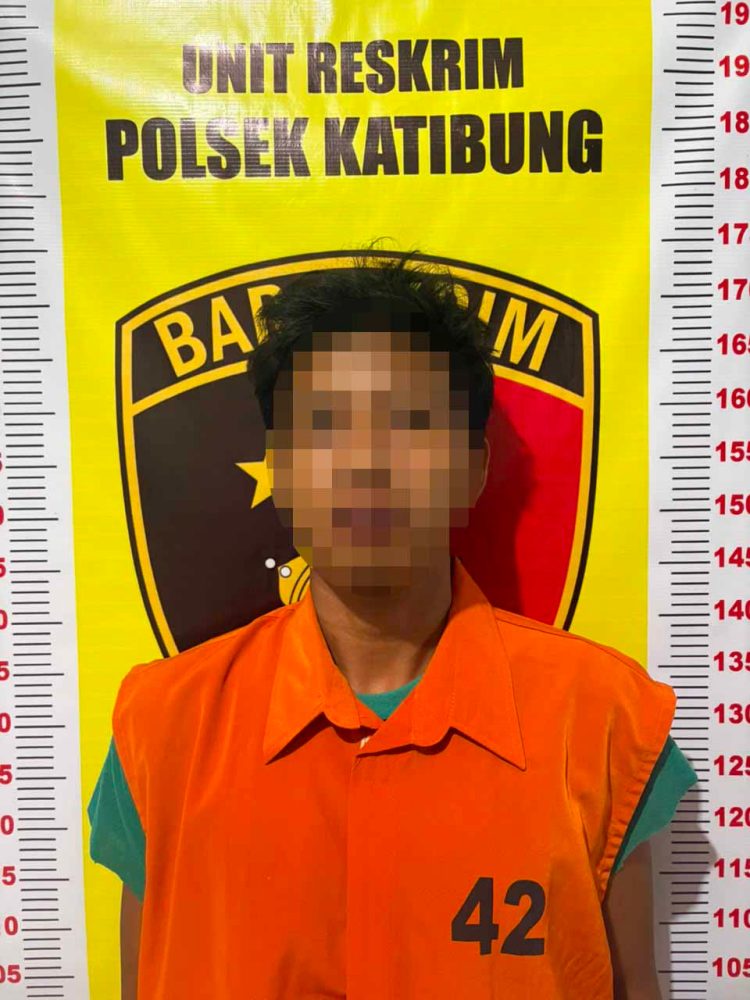Curi Uang dan Handphone, Pelaku Pembobolan Rumah di Pardasuka Ditangkap