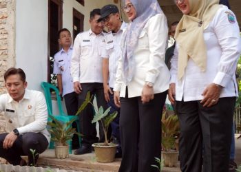 Kisah Arsyam Berubah Berkat Teras HELAU, Pekarangan Rumah Kini Penuhi Kebutuhan Pangan Keluarga