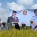 Erma Yusneli Soroti Irigasi, Pupuk, dan Harga Gabah Saat Hadiri Panen Raya di Kecamatan Natar