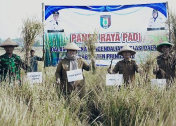 Irigasi Perpipaan Bantu Percepatan Tanam, Petani Wonosari Sukses Panen Raya