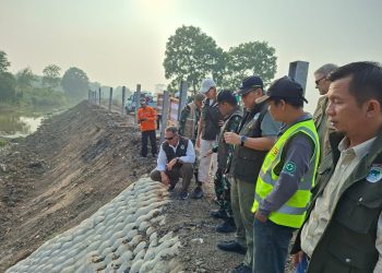 New Look Way Kambas Dikebut, Tim Internasional Pantau Pembangunan dan Konservasi Gajah