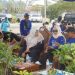 Wakil Bupati Umi Laila Hadiri Gerakan Langit Biru, Demokrat Pringsewu Tanam Pohon