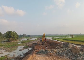 Gajah Rusak Tanaman Petani, Warga Sukorahayu Kompak Hibahkan Lahan untuk Tanggul