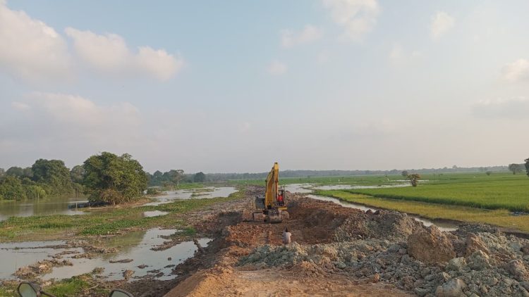 Gajah Rusak Tanaman Petani, Warga Sukorahayu Kompak Hibahkan Lahan untuk Tanggul