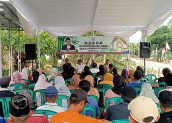 Bambang Kurniawan Bagikan Bibit Alpukat kepada Ratusan Warga Saat Reses di Pekon Adiluwih