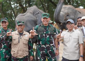 Way Kambas Berbenah, Lebah dan Serai Dikembangkan untuk Cegah Konflik dengan Gajah