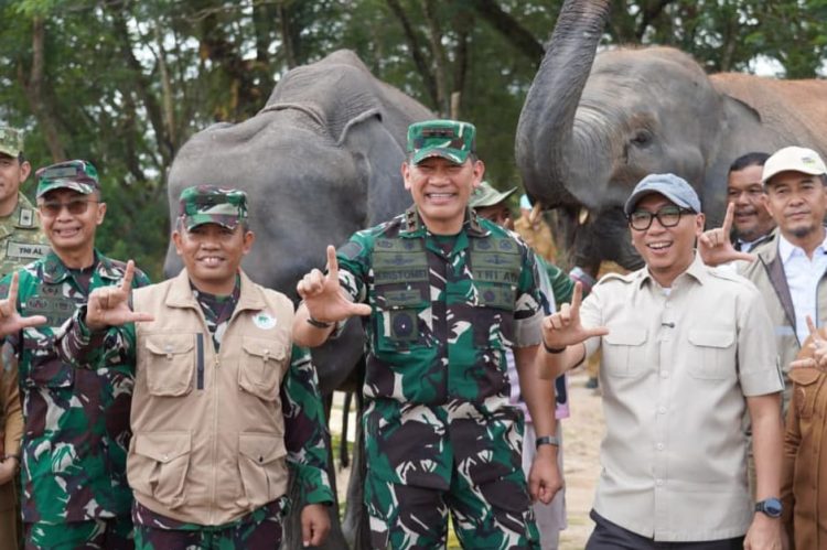 Way Kambas Berbenah, Lebah dan Serai Dikembangkan untuk Cegah Konflik dengan Gajah